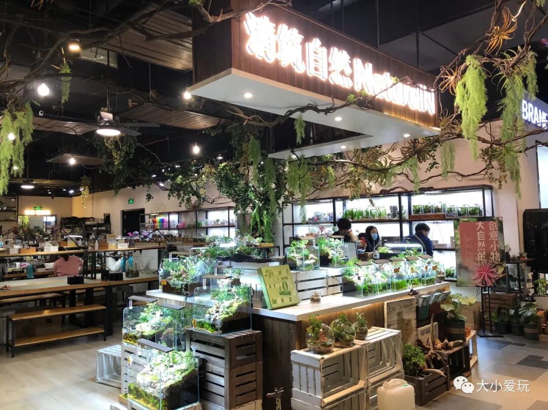 大小爱玩 自由微信 Freewechat