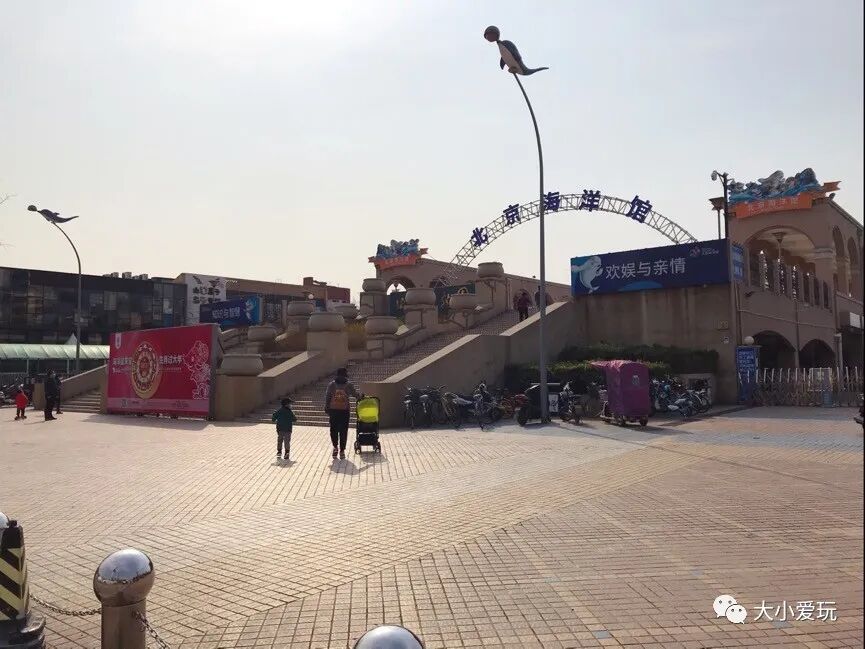 北京海洋馆好不好_北京海洋馆好看吗_北京三个海洋馆哪个好