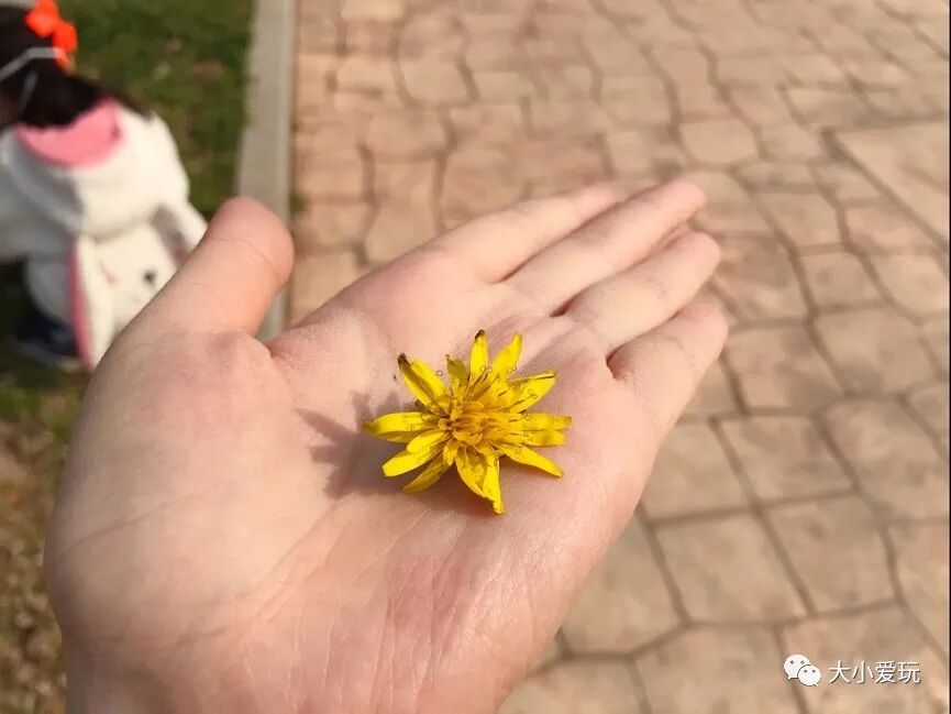 北京海洋馆好看吗_北京三个海洋馆哪个好_北京海洋馆好不好