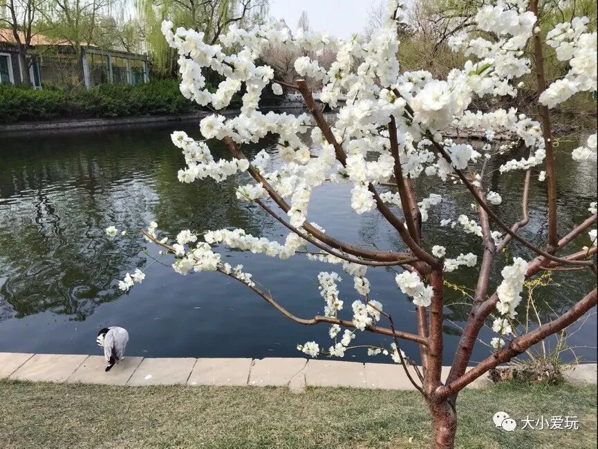 北京三个海洋馆哪个好_北京海洋馆好不好_北京海洋馆好看吗