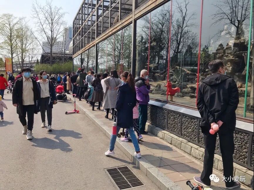 北京三个海洋馆哪个好_北京海洋馆好看吗_北京海洋馆好不好