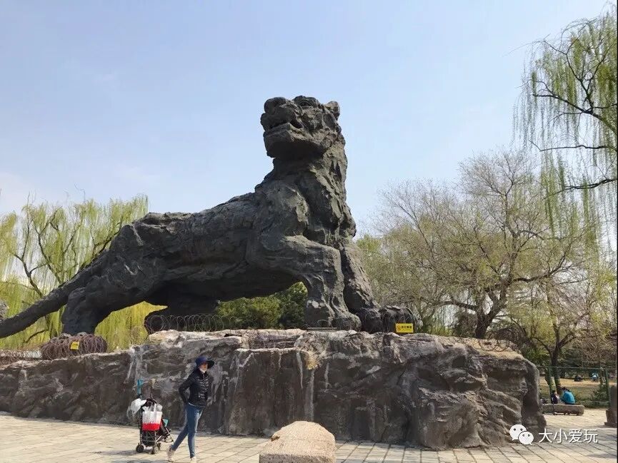 北京海洋馆好不好_北京海洋馆好看吗_北京三个海洋馆哪个好