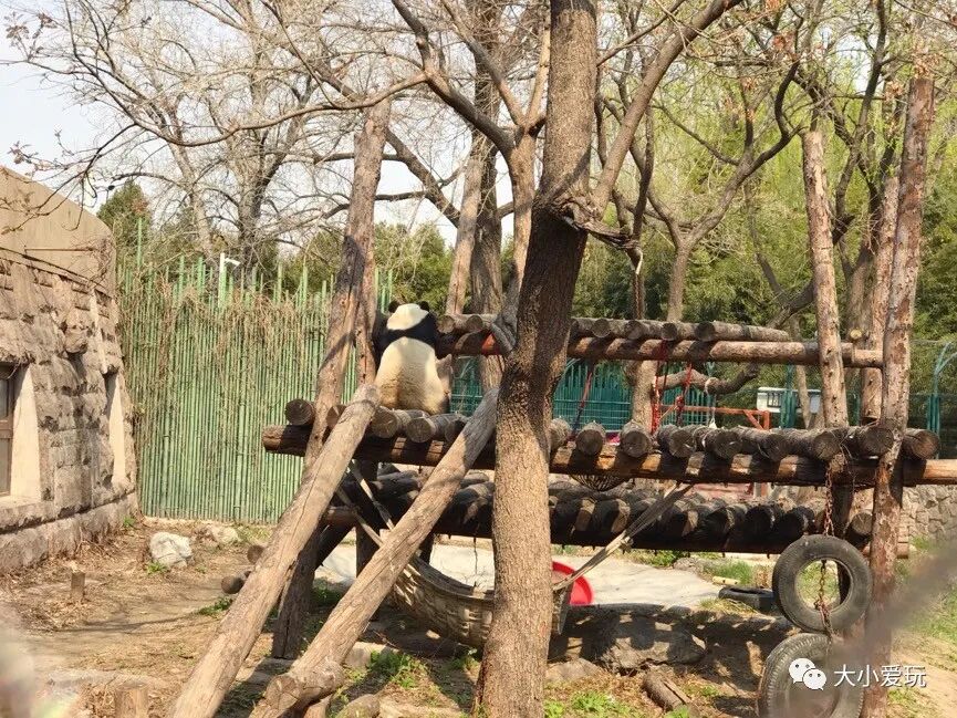 北京海洋馆好看吗_北京海洋馆好不好_北京三个海洋馆哪个好