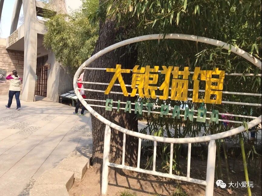 北京海洋馆好不好_北京海洋馆好看吗_北京三个海洋馆哪个好