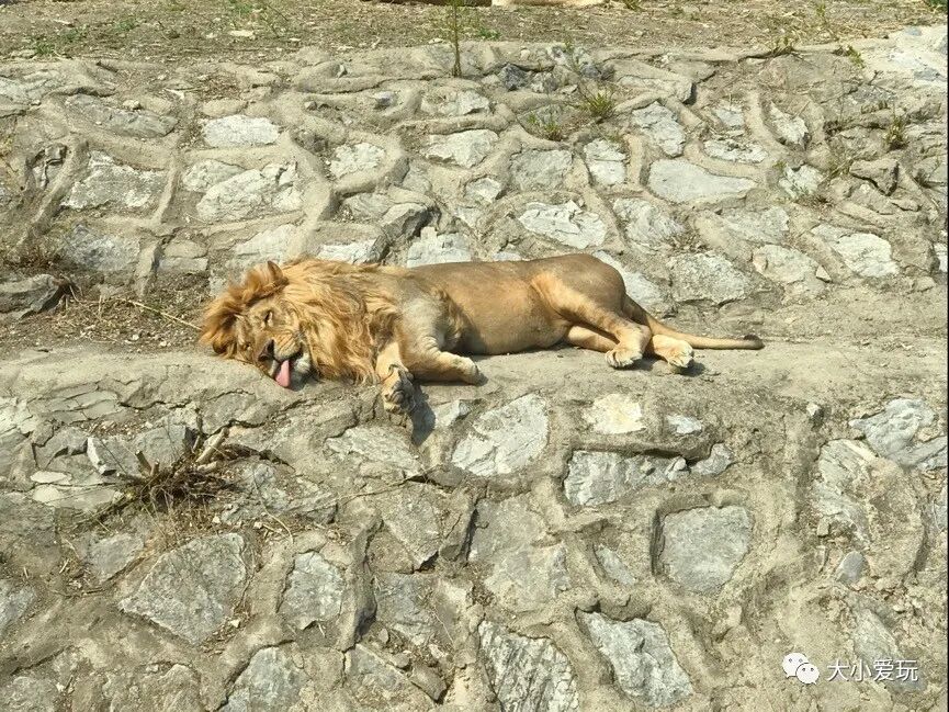 北京海洋馆好不好_北京三个海洋馆哪个好_北京海洋馆好看吗