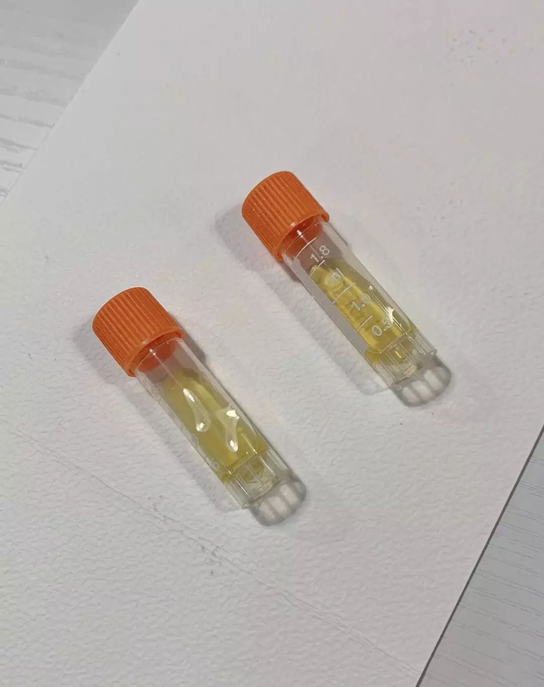 晚稻米尽量少吃的原因