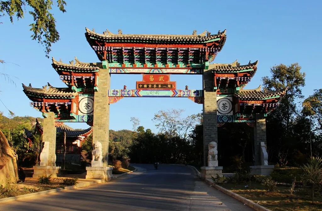 易武，代表了东方帝国最高的品味