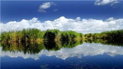 喜訊！新疆9處國家濕地公園通過驗收，在你家門口嗎？ 未分類 第5張