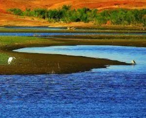 喜訊！新疆9處國家濕地公園通過驗收，在你家門口嗎？ 旅遊 第15張