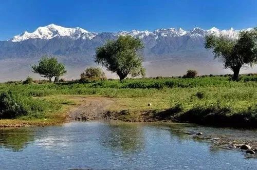 喜訊！新疆9處國家濕地公園通過驗收，在你家門口嗎？ 未分類 第13張
