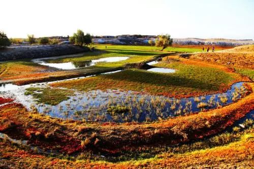 喜訊！新疆9處國家濕地公園通過驗收，在你家門口嗎？ 旅遊 第8張
