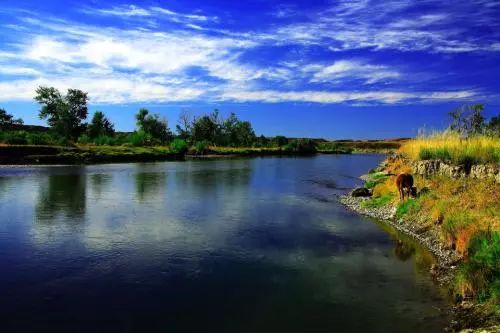 喜訊！新疆9處國家濕地公園通過驗收，在你家門口嗎？ 旅遊 第14張