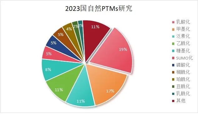 斯達特修飾抗體：“乳