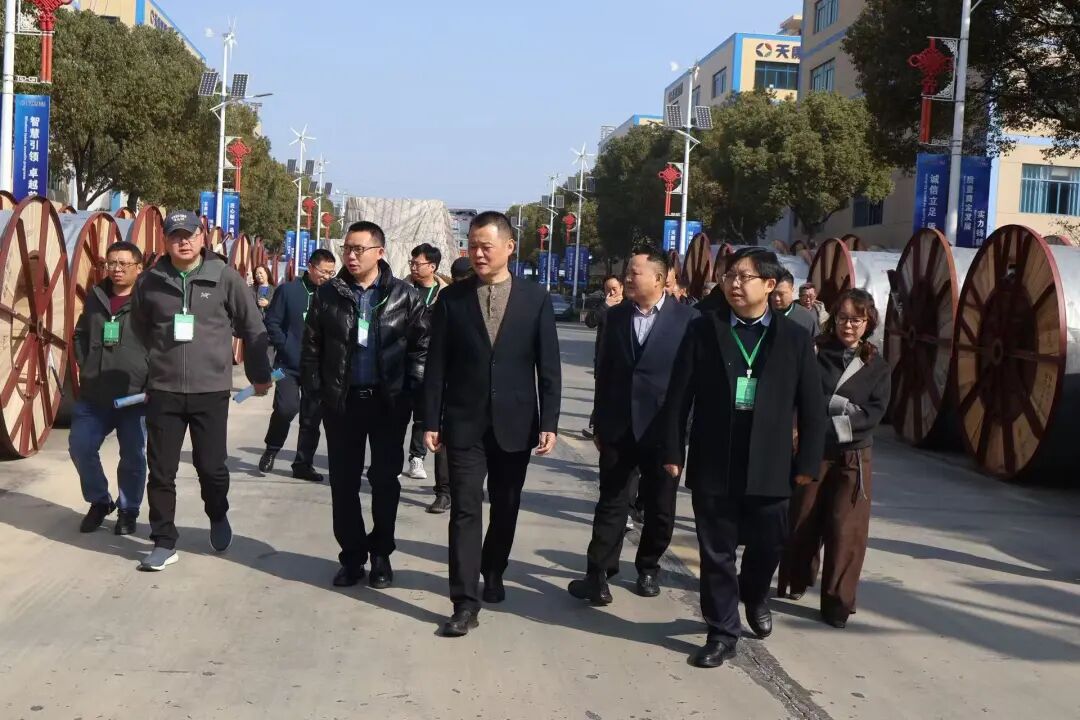 聚力苏皖协作 赋能产业升级