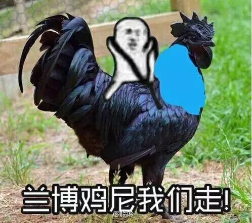 有一个说法是:"皮皮猪,我们走"才是原始的梗,是电子竞技前ig上单选手