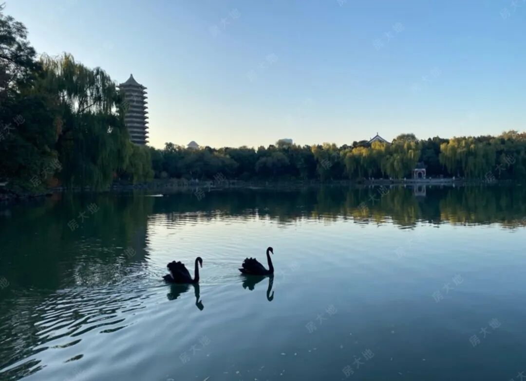 巅峰对决海淀vs昌平神盘争霸即将上演精彩不容错过快来一睹为快