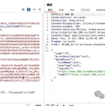 Example Image