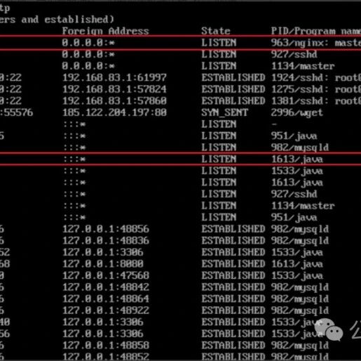 Example Image