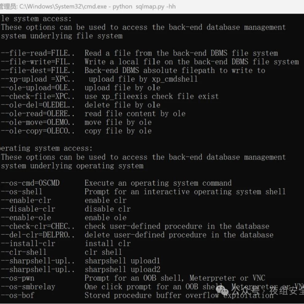 Example Image
