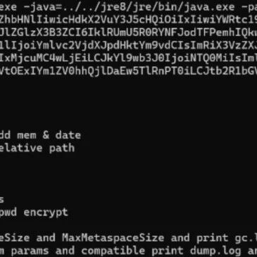 Example Image