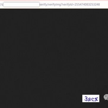 Example Image