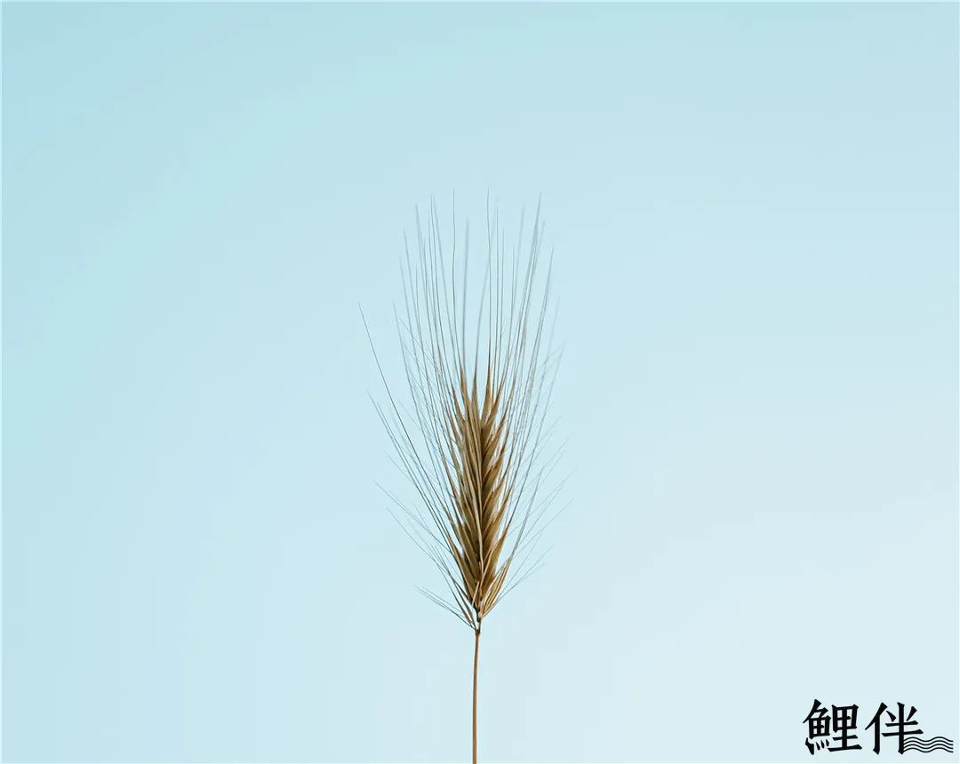 老婆对我冷淡了是什么原因,一个女人突然不爱了，往往是这个原因，别不信！