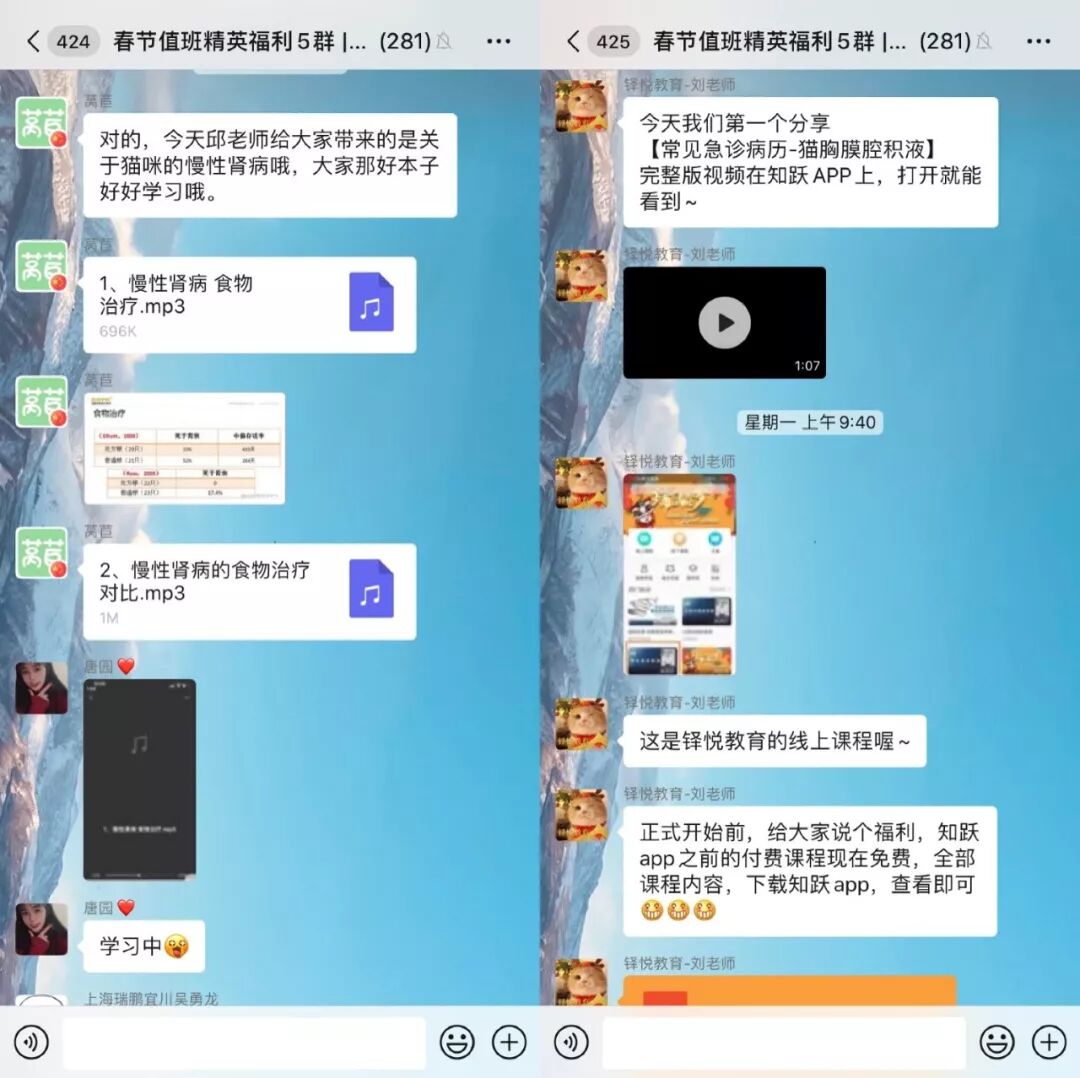 铎悦和兽医一起抗疫！开年免费线上猫科大课招募中_培训_维宠宠物导航网