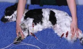 心电图滤波怎么选择【知跃干货】心电图基本示例_https://www.jmylbn.com_新闻资讯_第6张