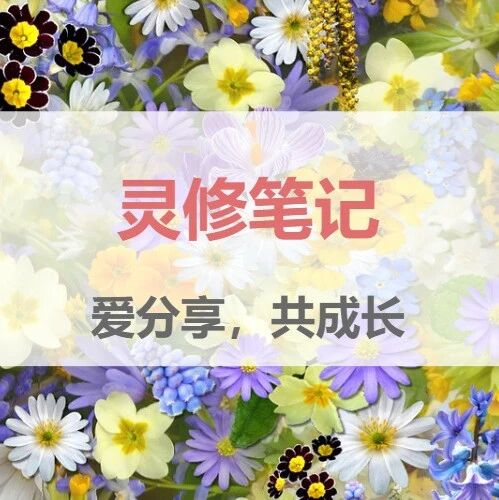 旌旗教会文字事工 Jq 公众号详情 微小领