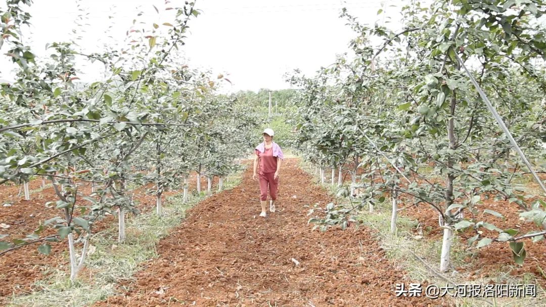 致富农村养殖项目_农村致富经_致富农村项目