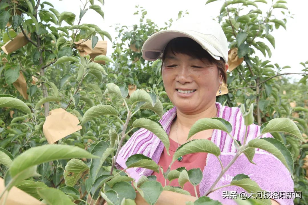 致富农村养殖项目_致富农村项目_农村致富经