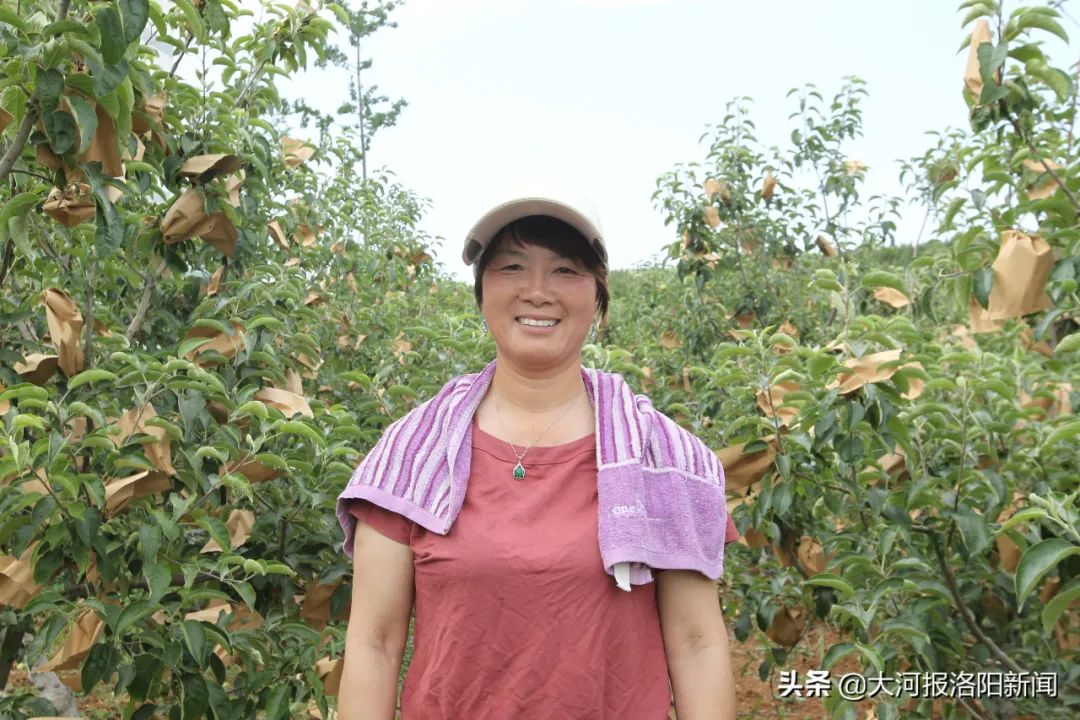 致富农村养殖项目_致富农村项目_农村致富经