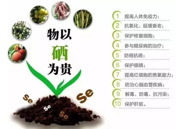 【成大方圆】补硒真的管用吗?这些真相你不知道!