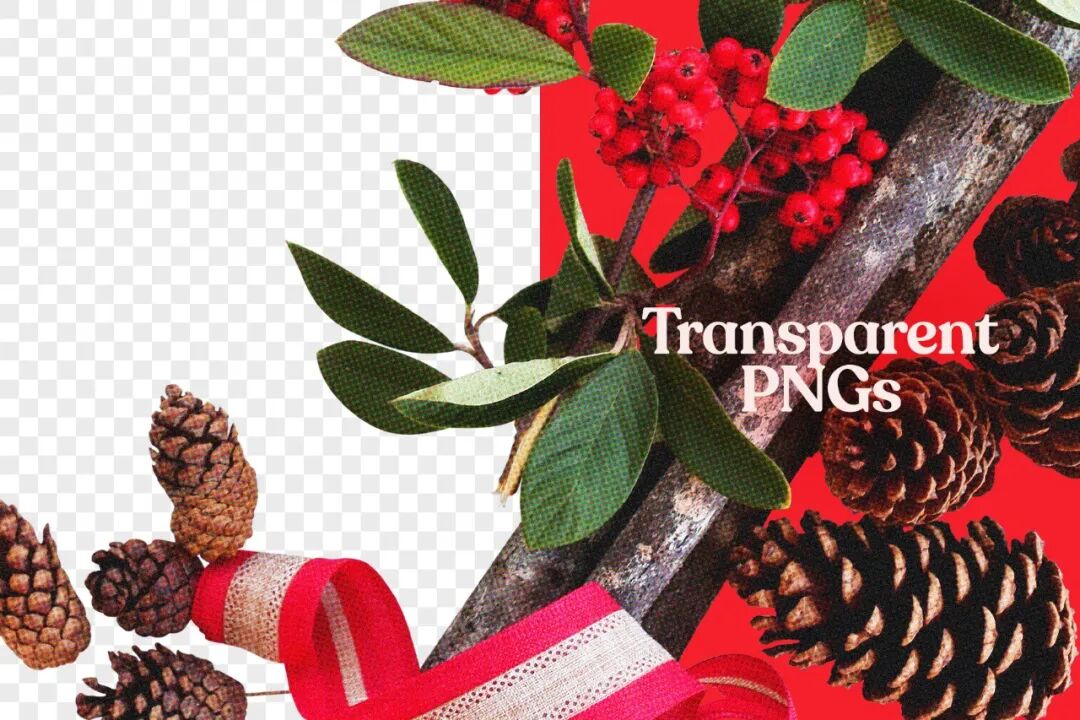 Studio 2am 100多种高分辨率暗红色圣诞节复古颗粒感剪纸拼贴画素材 Christmas（5109）图层云