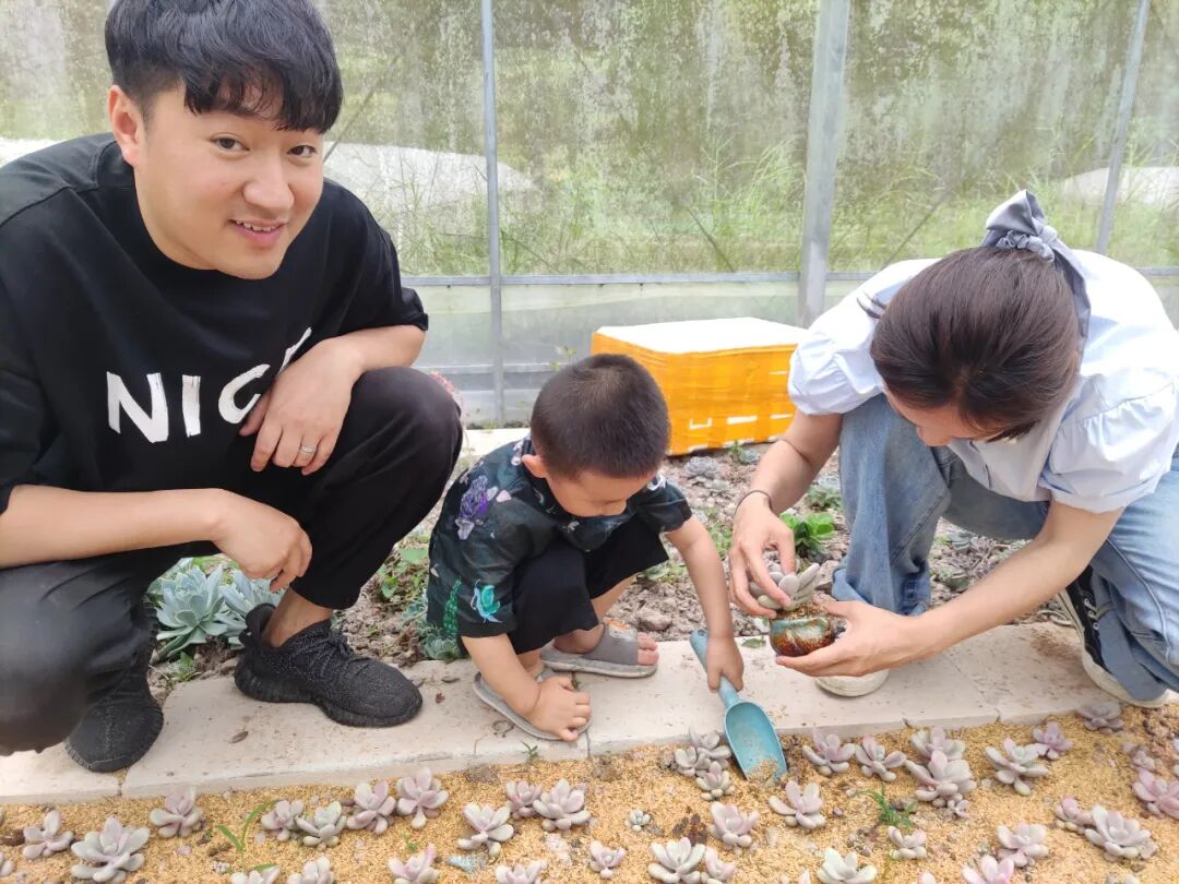 多肉联萌_多肉联萌官网_多肉联萌app
