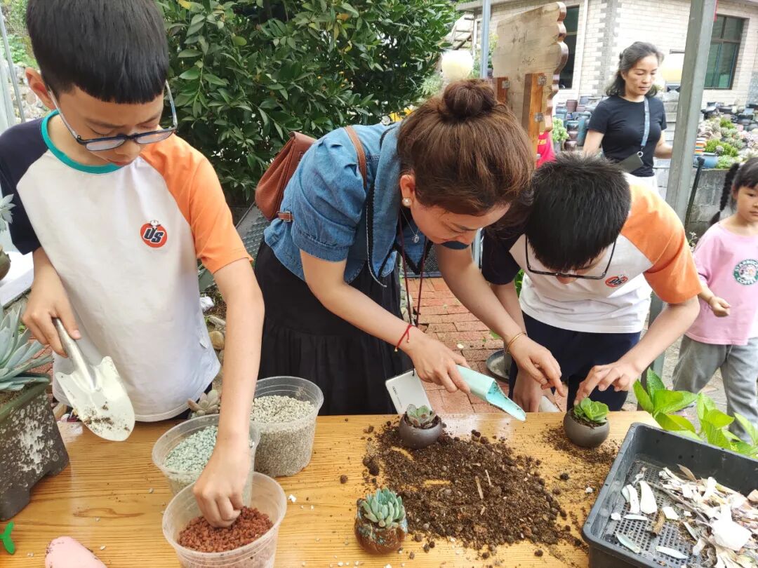 多肉联萌_多肉联萌官网_多肉联萌app