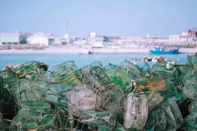 五一假期哪里浪？惠安美食、海边大礼包等你来领~