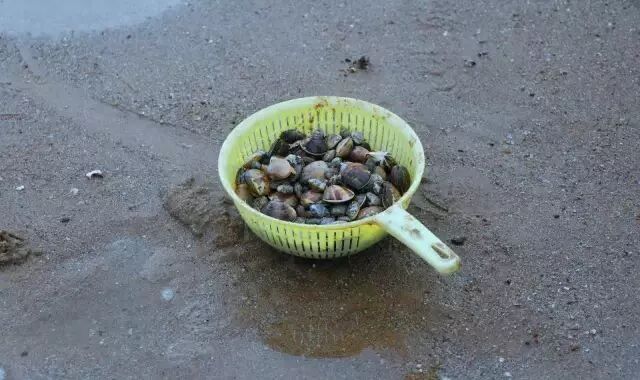 五一假期哪里浪？惠安美食、海边大礼包等你来领~