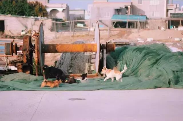 五一假期哪里浪？惠安美食、海边大礼包等你来领~