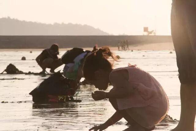 五一假期哪里浪？惠安美食、海边大礼包等你来领~