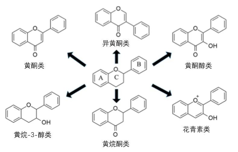 蜂胶中的总黄酮对心血管疾病的作用