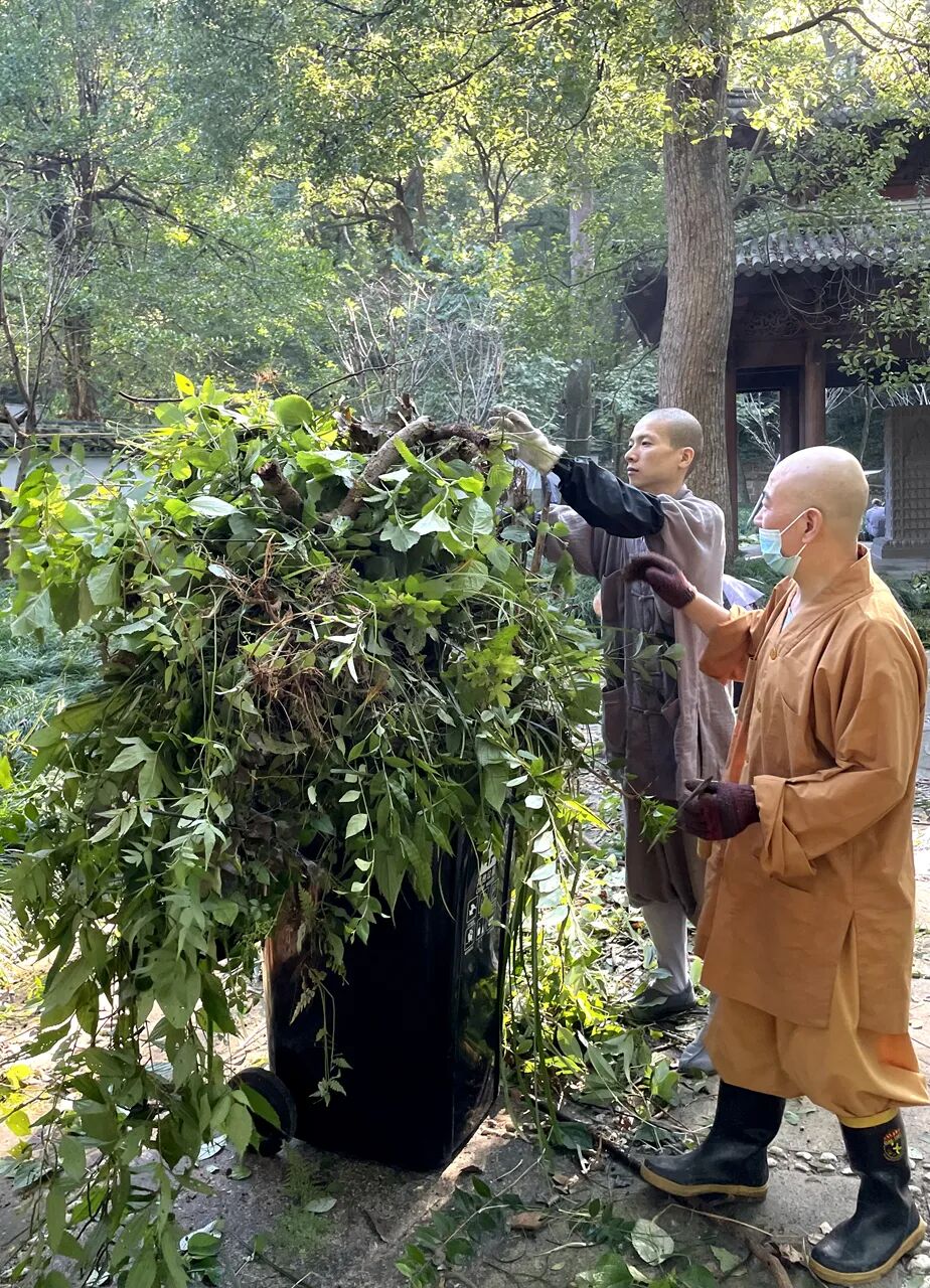 天童禅寺常住出坡，以清新的环境迎接“十一”国庆佳节