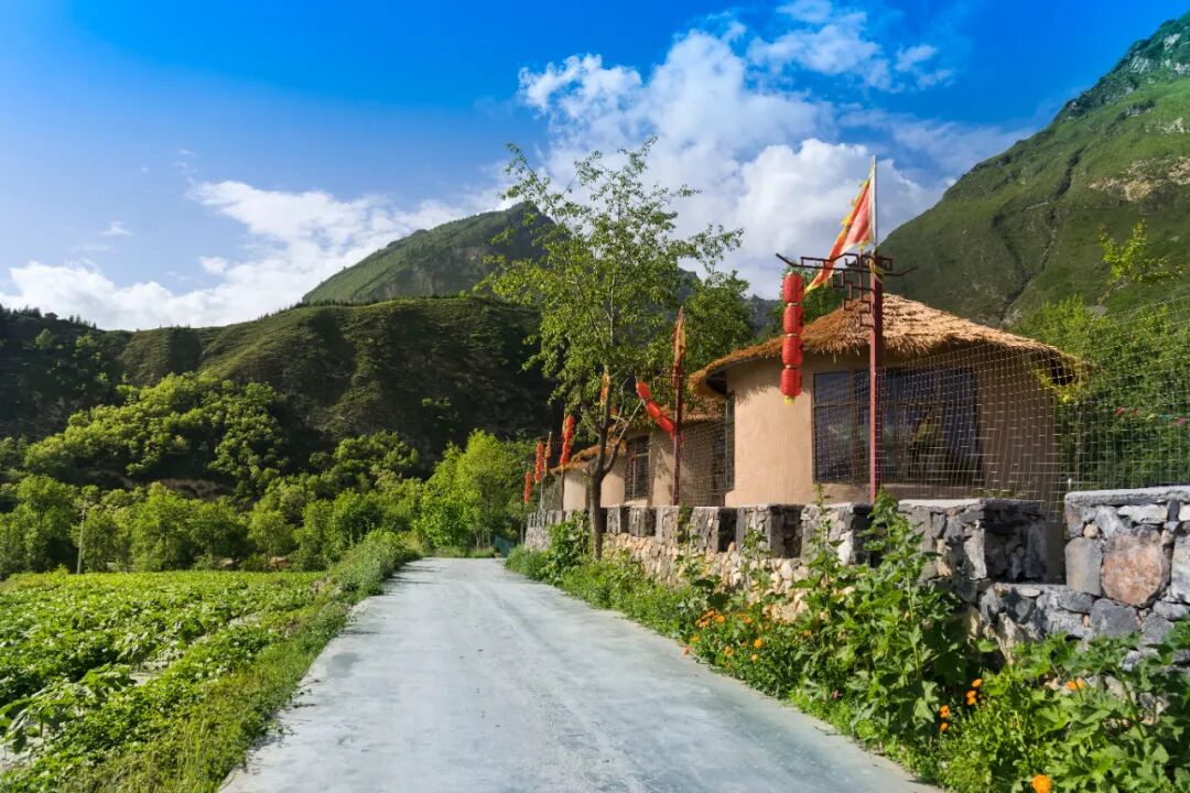 五无甘南诗画舟曲丨用乡村旅游金钥匙打开乡村振兴金大门