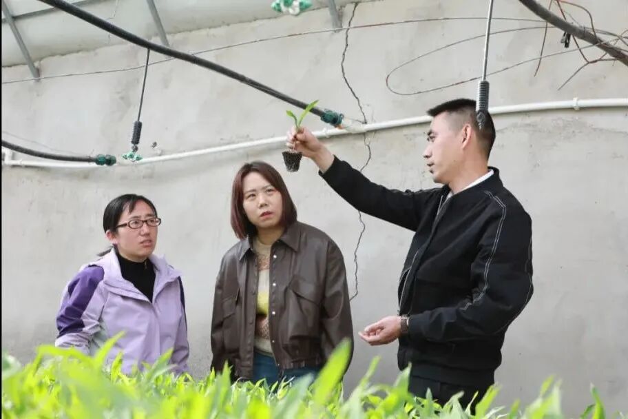 【劳模风采】王雪明:培育高质量的科学试验田--信息新报