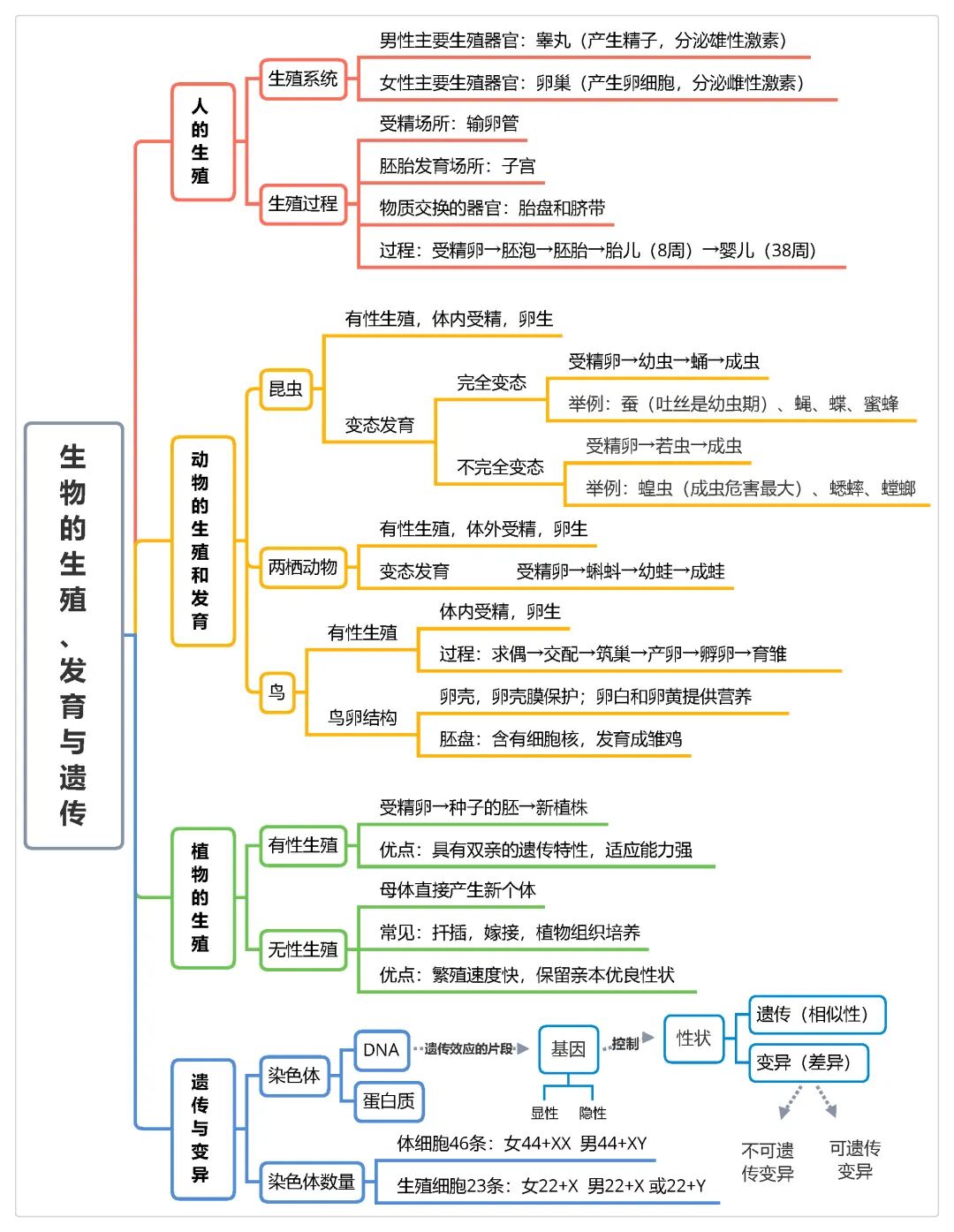 640 (6).jpg