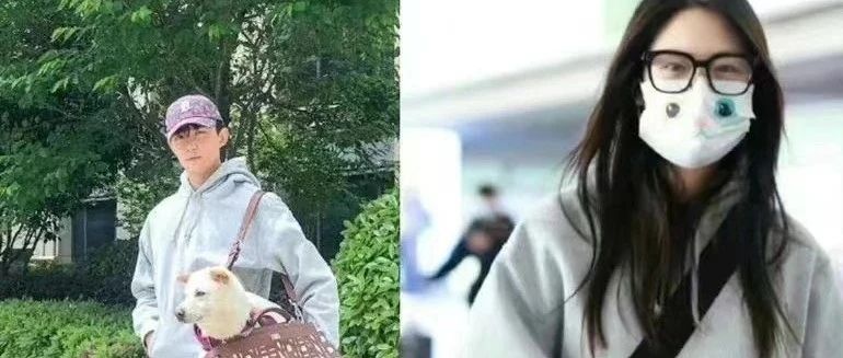 向涵之直播否认与吴磊恋情