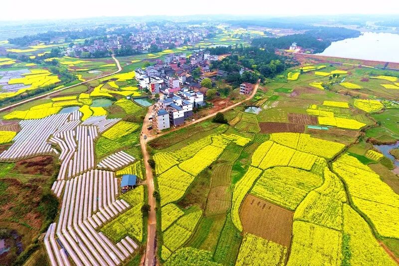 美丽乡村如今,黄桥镇湴塘,文峰镇低坪等一批村庄成功获评省3a级乡村