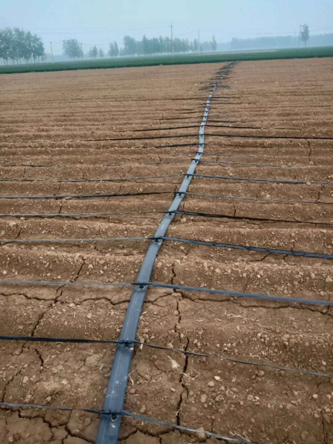 640_wx_fmt=jpeg&from=appmsg&tp=webp&wxfrom=10005&wx_lazy=1&wx_co=1.webp (1).png