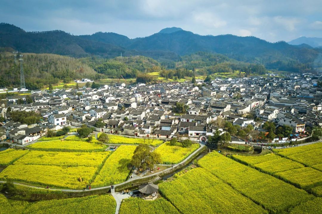 一到春天，就想去安徽